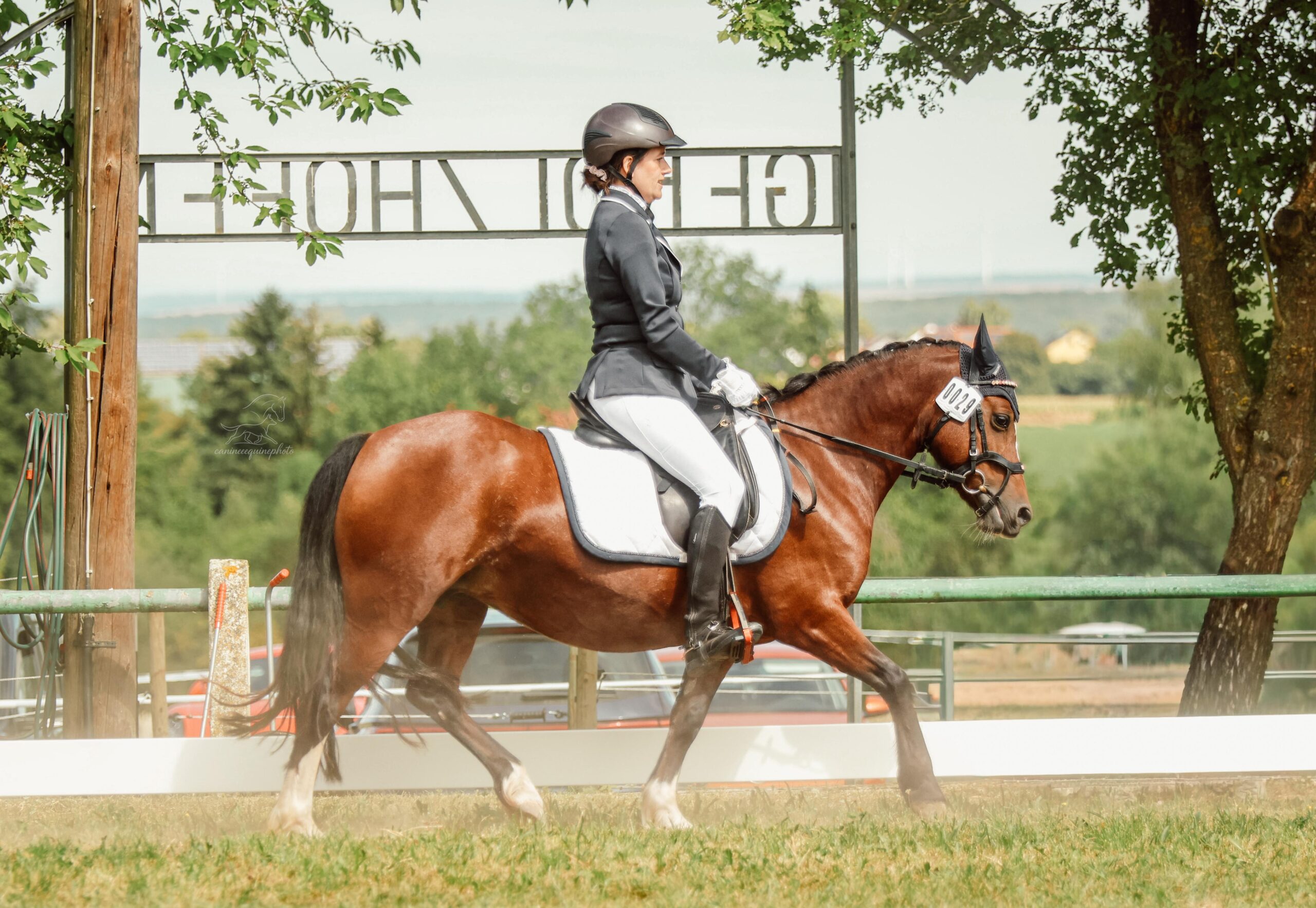 Vielseitigkeits – WBO am 25. und 26. Juli 2026 in Gerolzhofen