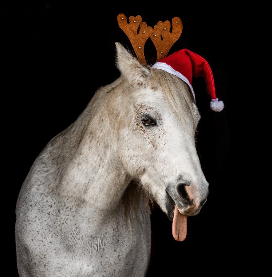 Weihnachtsfeier am 28.11.2025 in Mönchstockheim