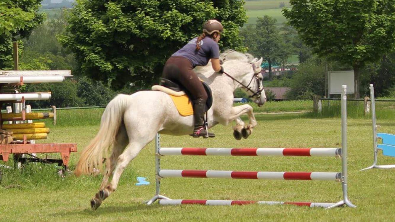 Springkurs mit Hubert Kaltwasser