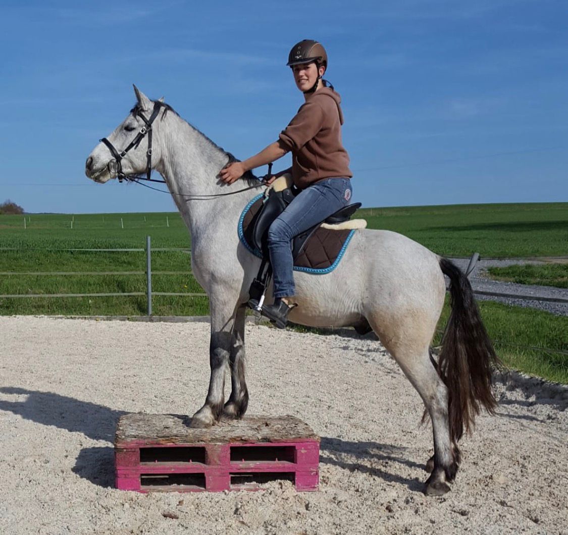 Mobile Nature Trail mit Frank und Stephi